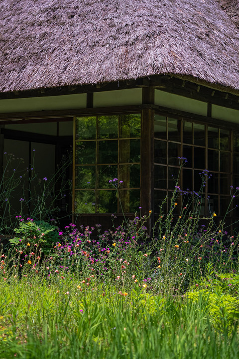 書院と初夏の庭（浄智寺）