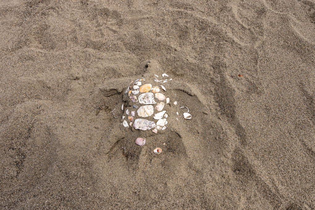 浜辺の芸術