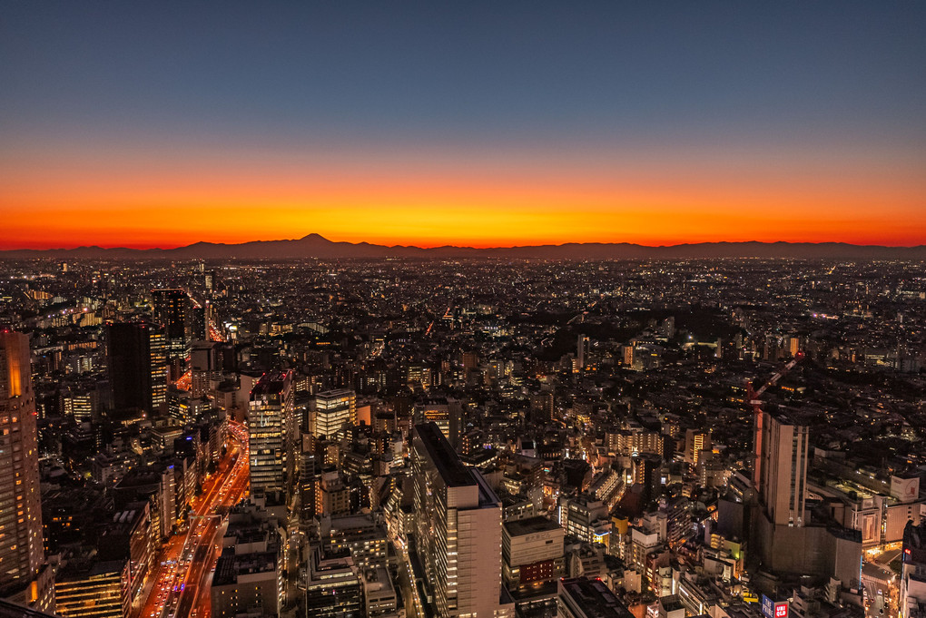 夕焼け色に染まる大都会東京