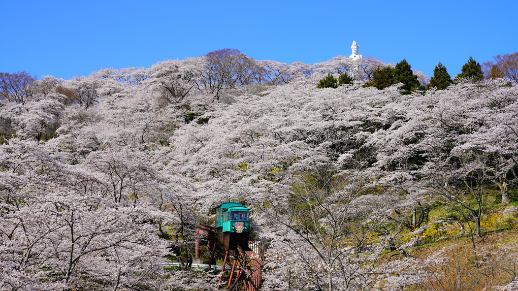 東北の春　さくらのトンネルを抜けて