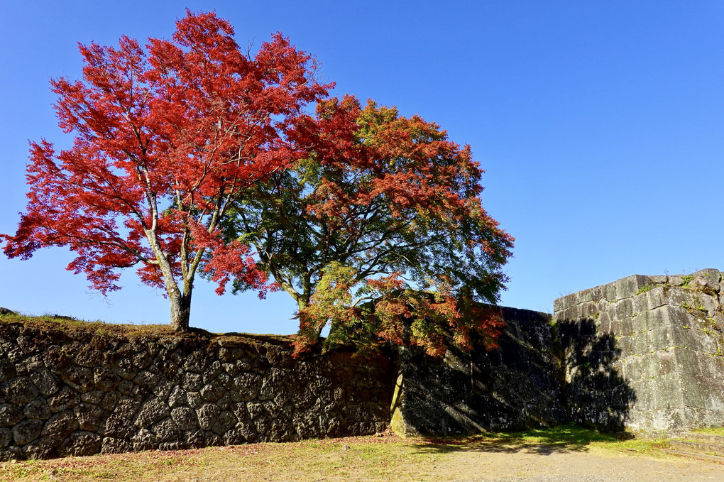 秋の岡城