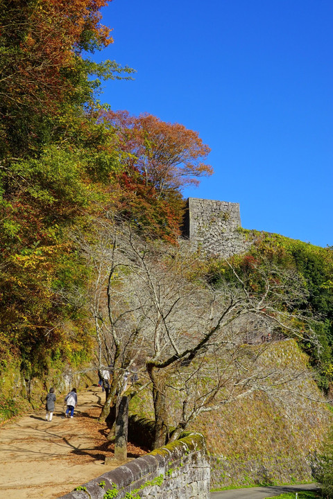 秋の岡城