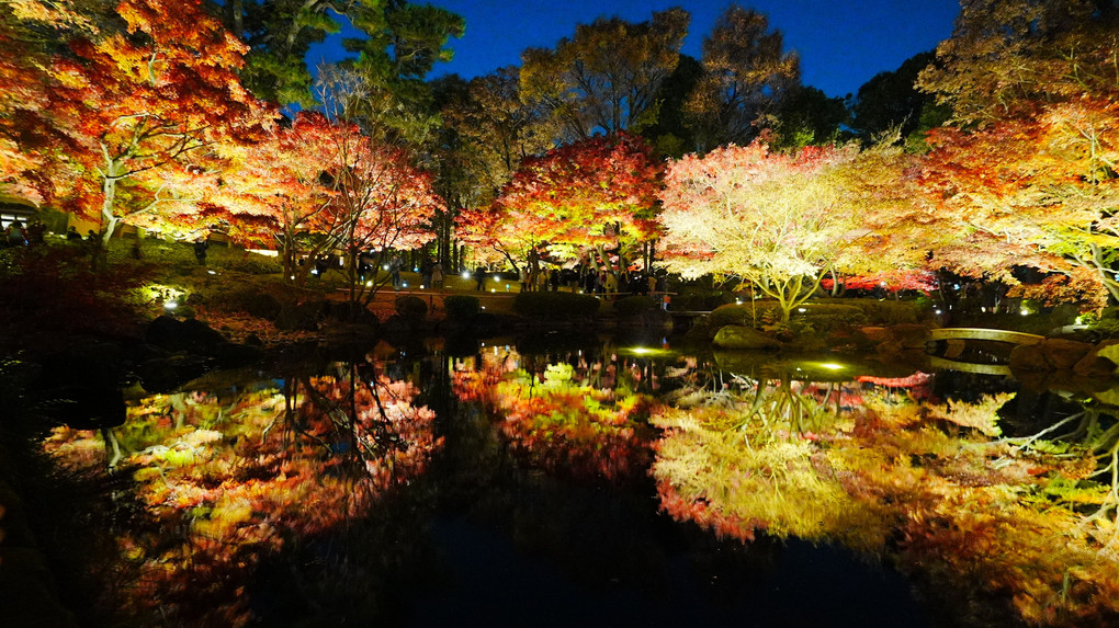 太田黒公園 今年最後の秋