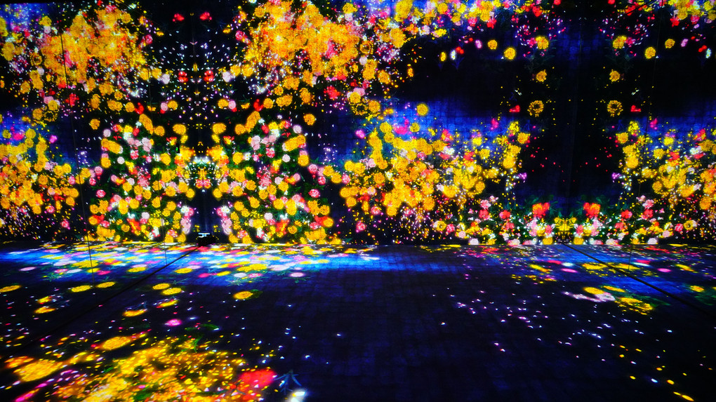 teamLab Borderlessの世界