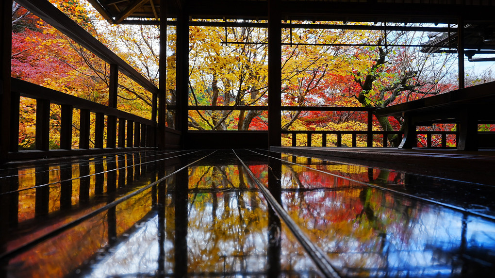 秋の京都を歩く