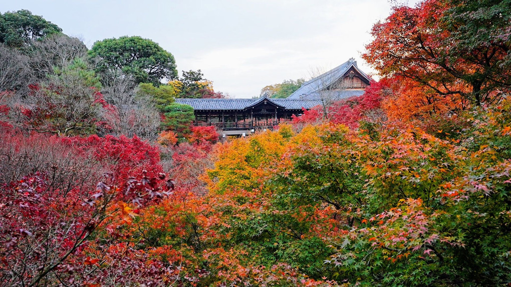 秋の京都を歩く
