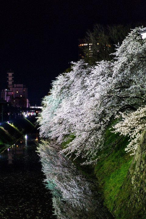 霞城公園