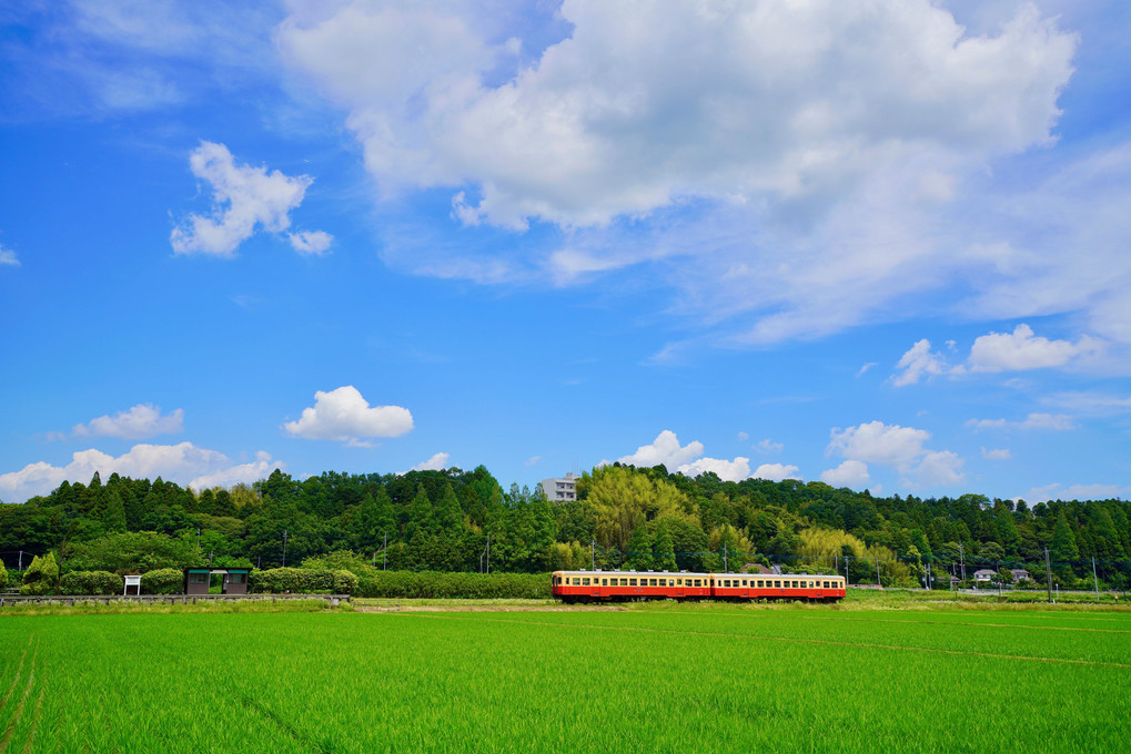 メルヘンチックな青空の下を走る・・🚞