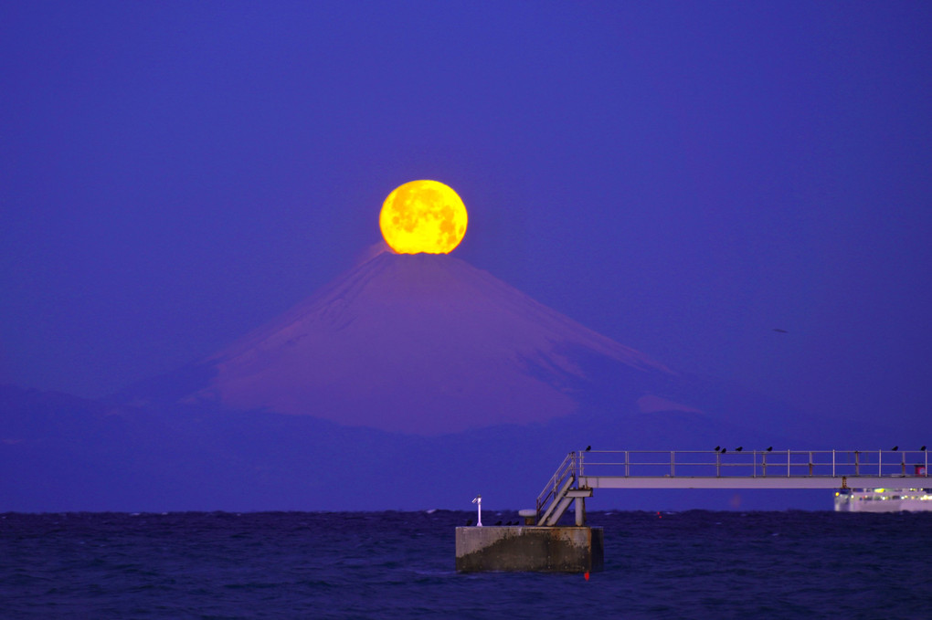 夜明け前、パール富士🌕