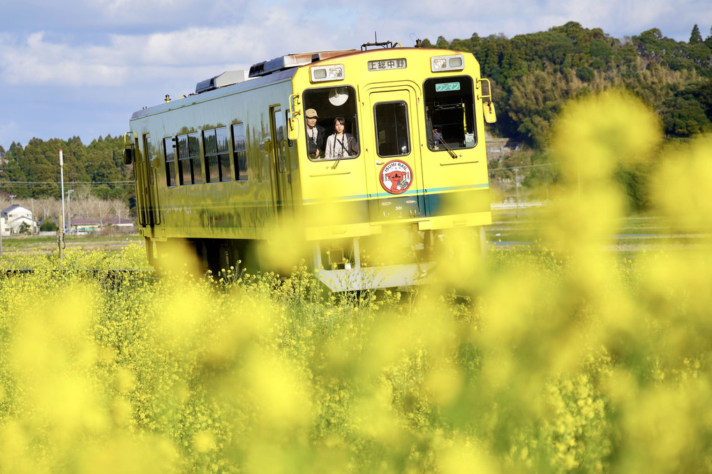幸福の黄色い列車に乗って〜♫