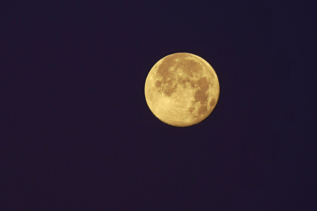 ウルフムーンとともに・・🌕（５枚組）