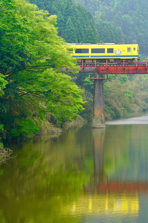 清涼💚川を渡るムーミン列車