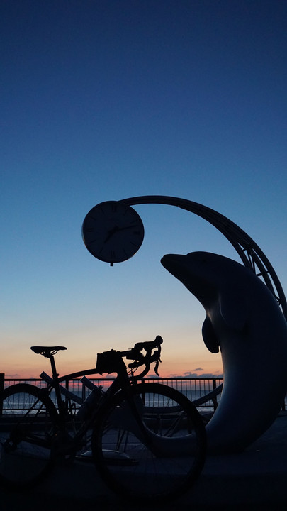 ノシャップ岬　イルカと自転車　