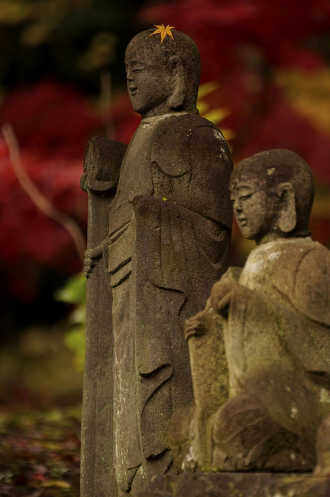 平林寺　秋