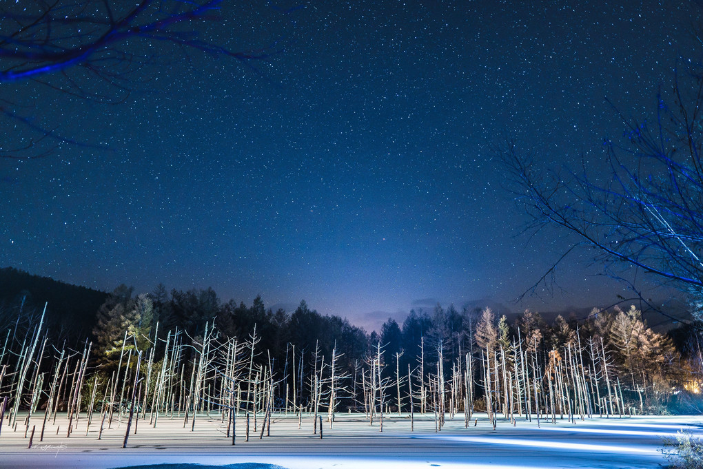 青い池の星たち〜Voice from the stars〜