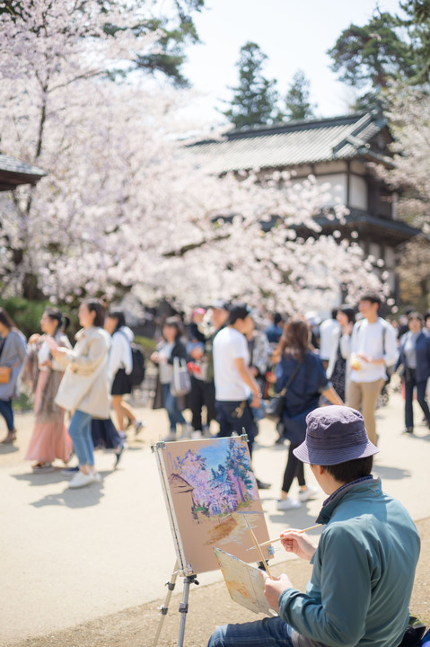 弘前公園　桜の思い出