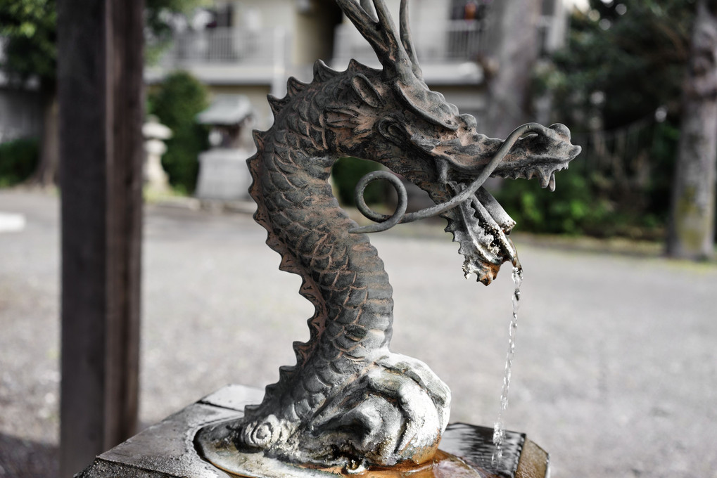 熊野神社の龍