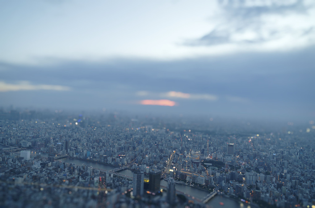 東京スカイツリー夜景