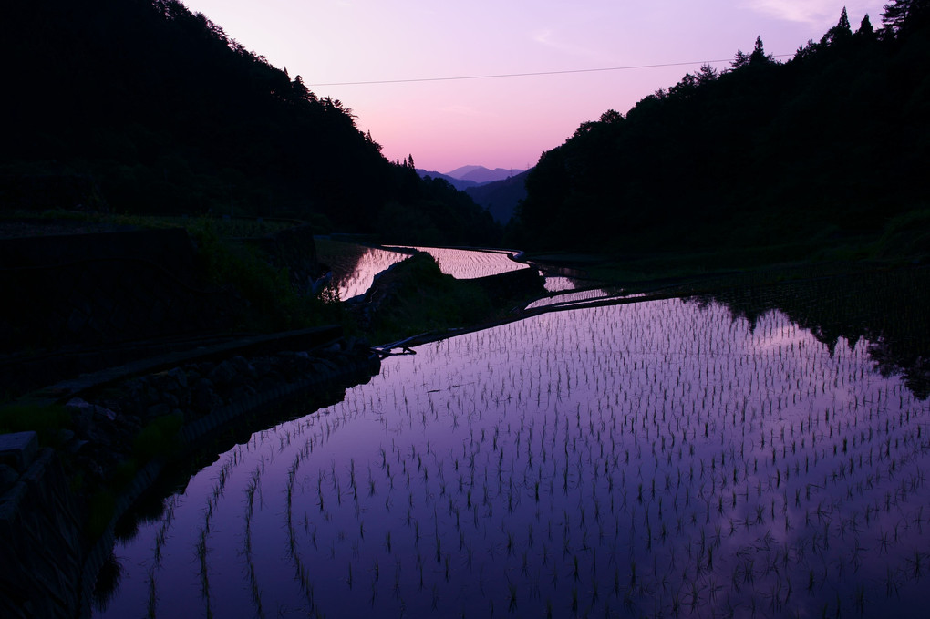 井仁棚田の夜明け3