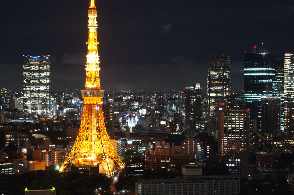 Tokyo Night Town