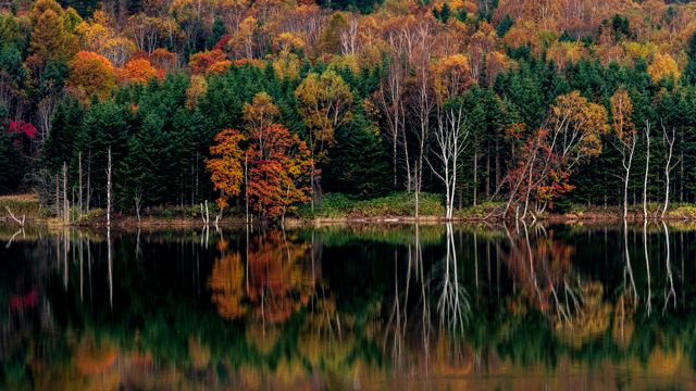 Reflection of autumn colour  フクロウ湖