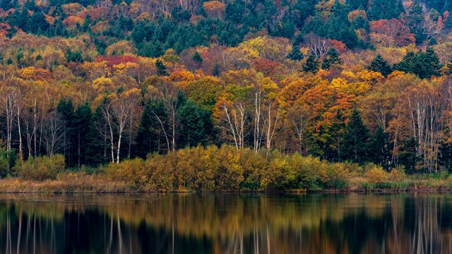 Reflection of autumn colour  フクロウ湖