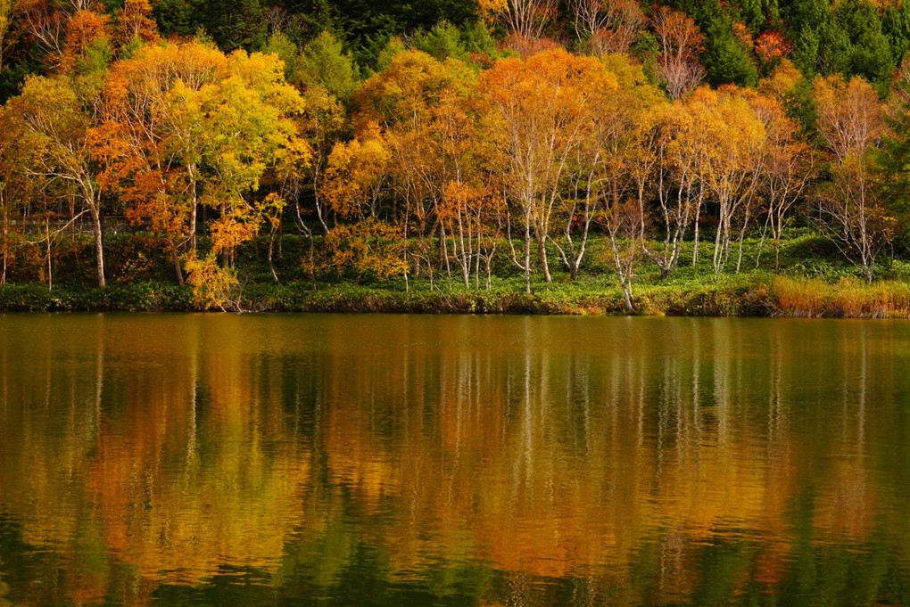 木戸池の秋