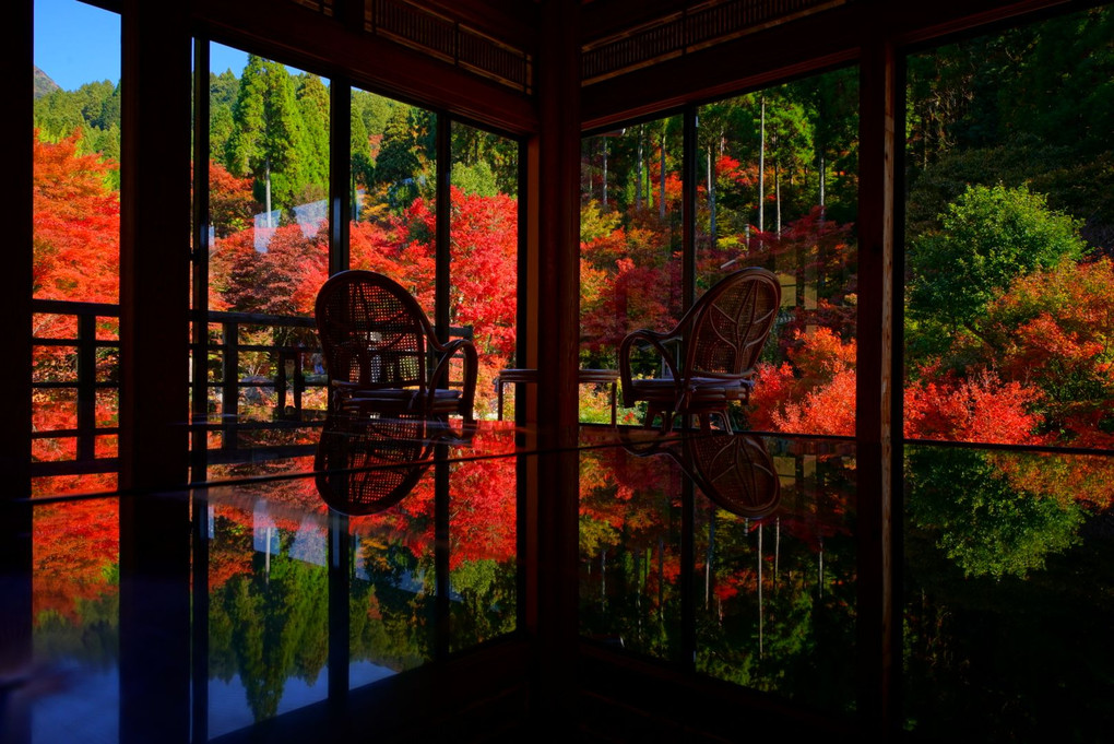 環境芸術の森 2018 紅葉