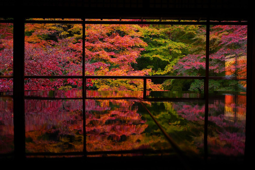 京の彩り～瑠璃光院 秋～