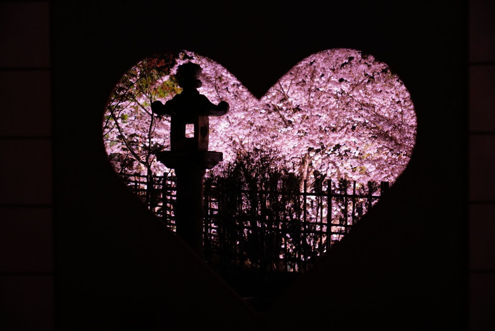 桜Love♪