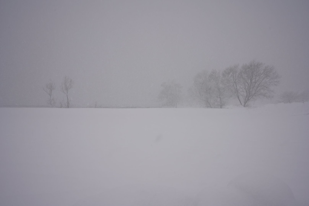 湖北の雪景色