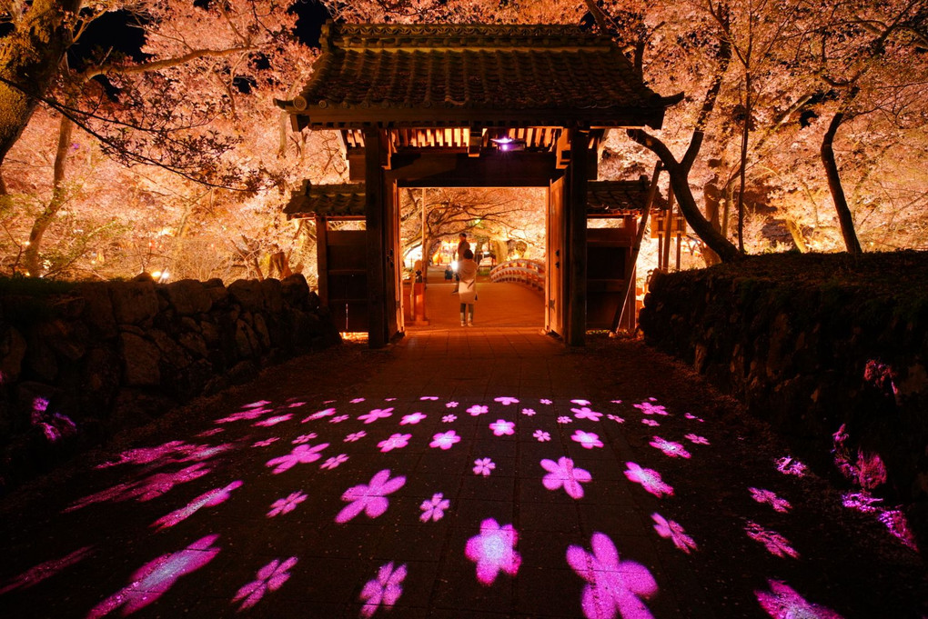 夢幻桜花の門