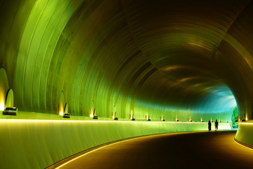 Green tunnel