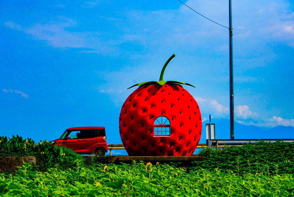 Strawberry　BUS　Stop