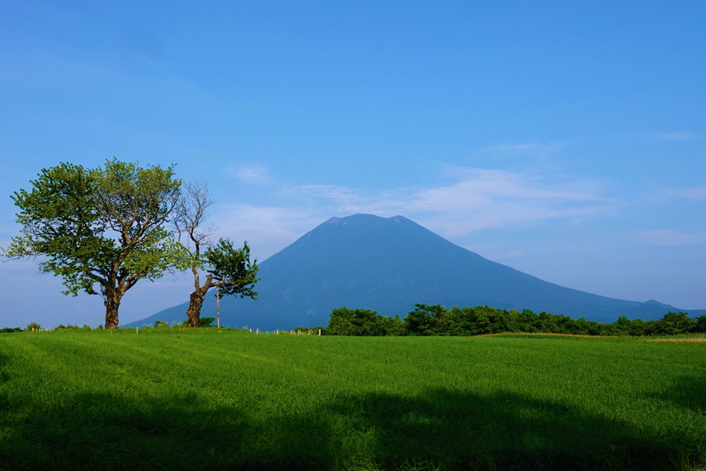 蝦夷富士とふたごのサクランボの木