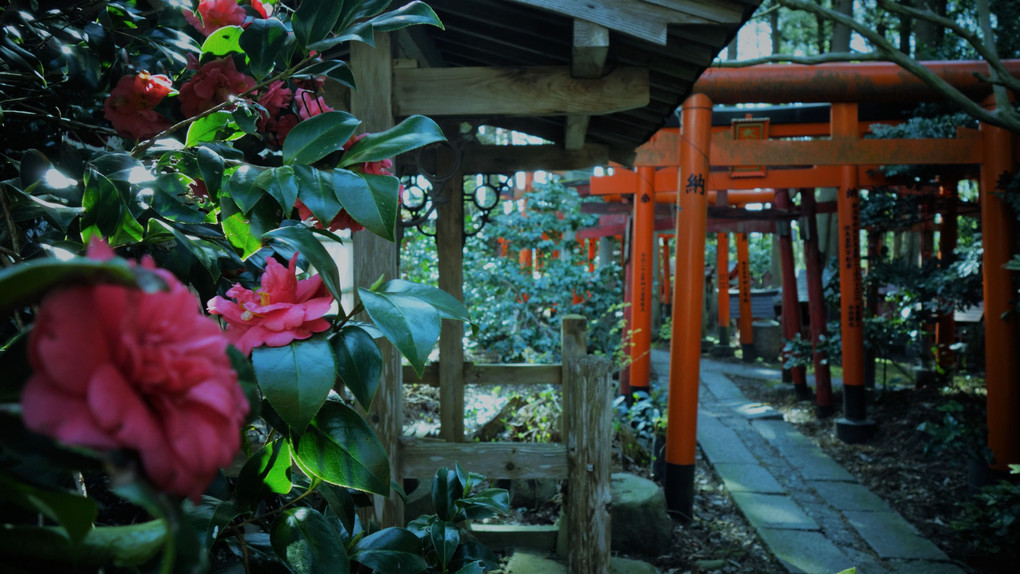 春の稲荷神社