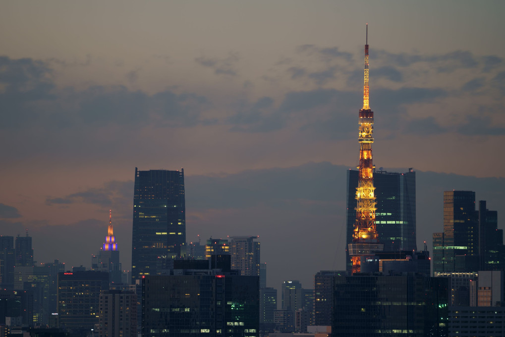 ピクセルシフトで東京タワー