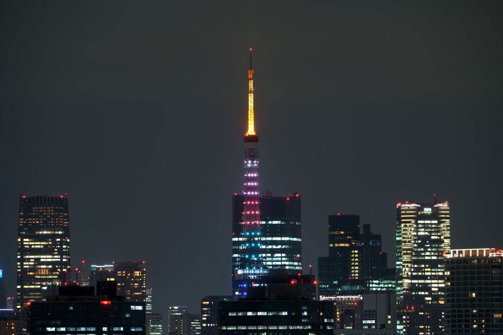 1億6960万画素の東京タワー