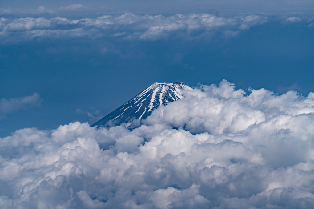 夏待つ富士山