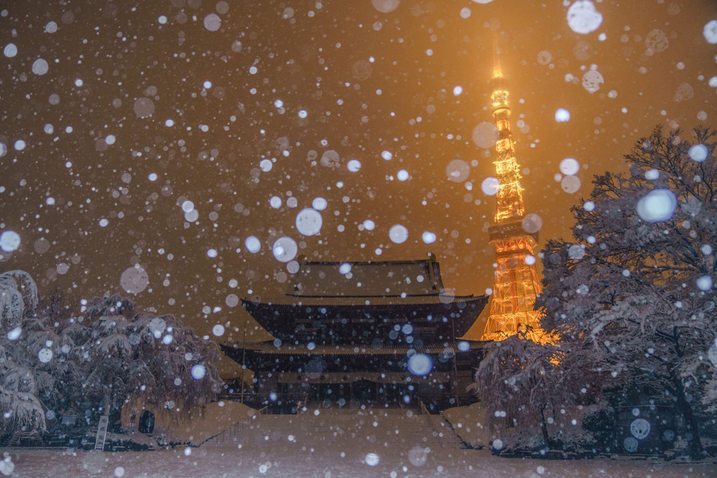 大雪の東京～夜編～