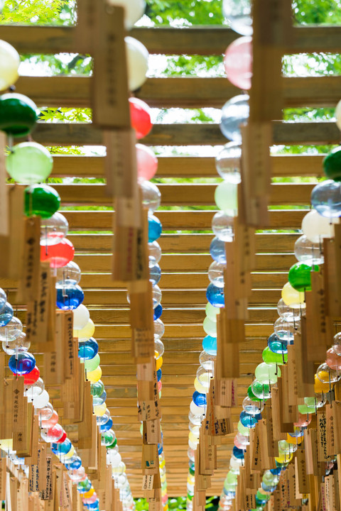 氷川神社散歩