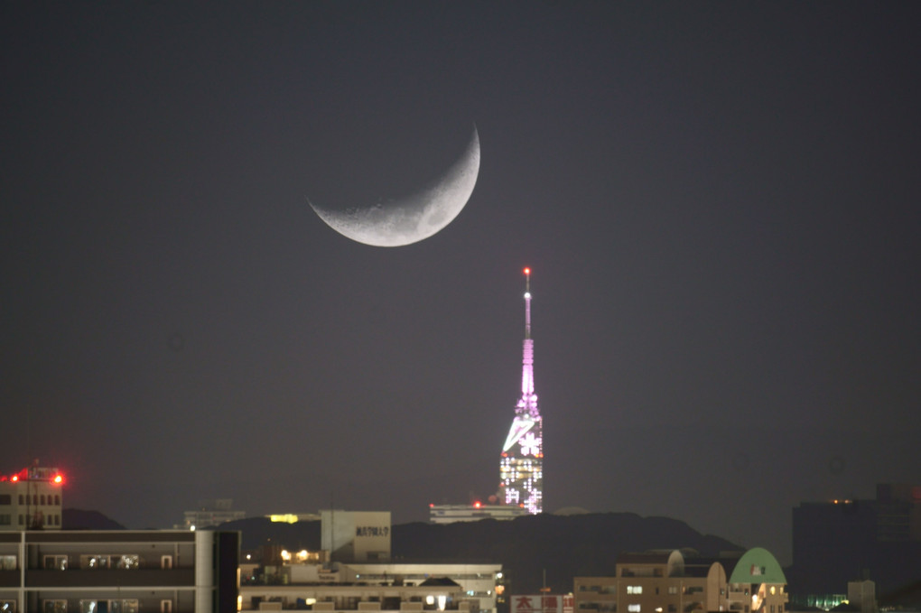 桜色福岡タワーと三日月