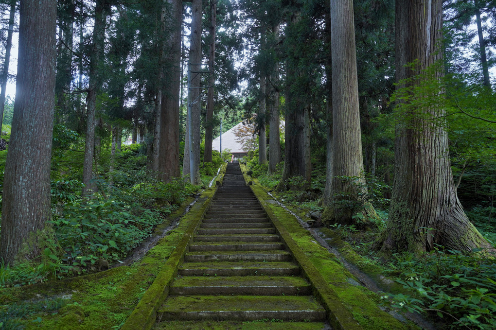 苔むす石段