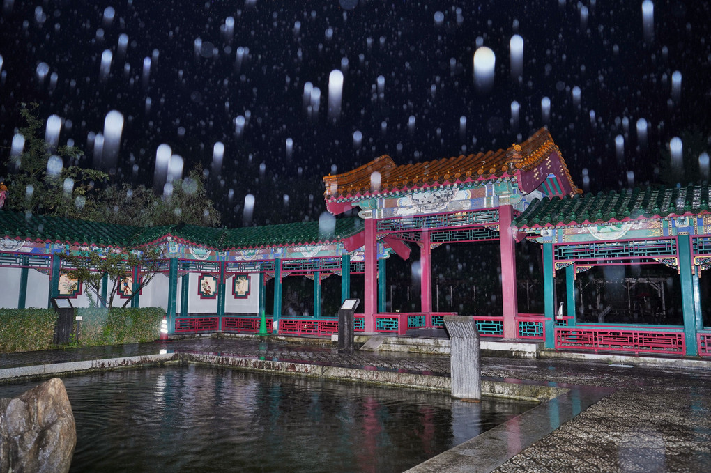 雨の中国庭園-2