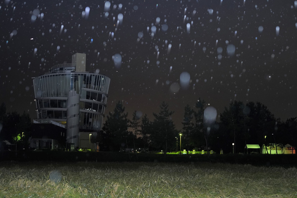 実りの雨のビュー福島潟