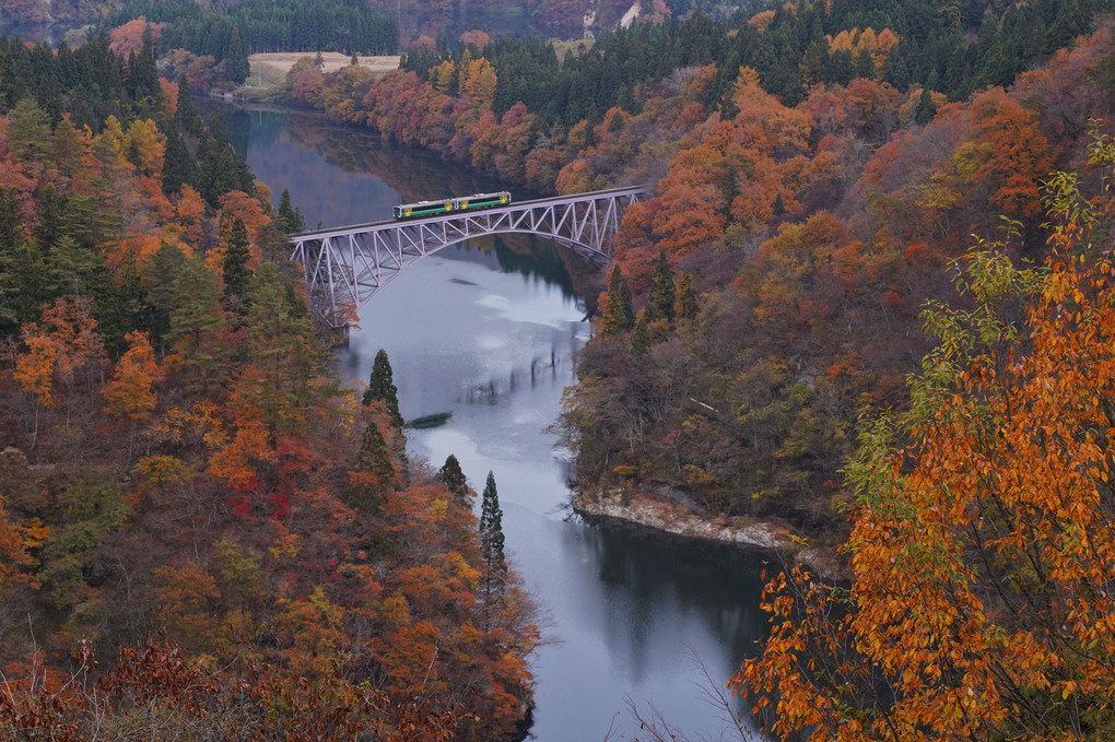 秋真っ盛りの只見川第一橋梁