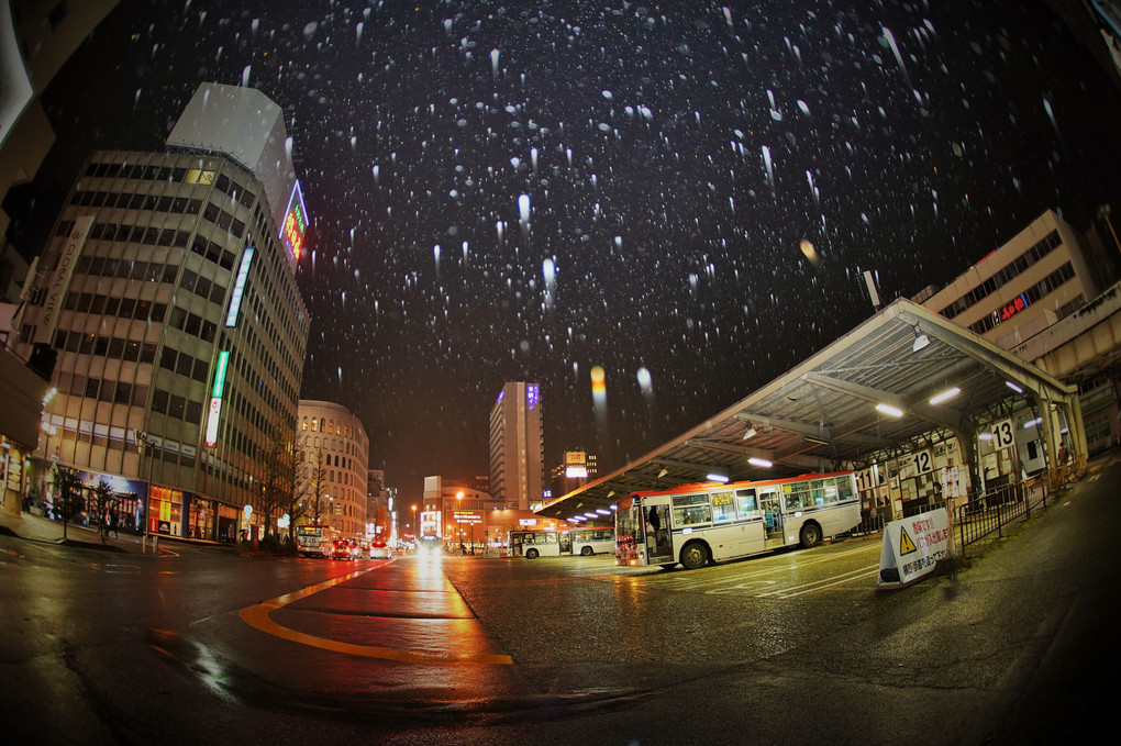 雨の新潟・バス停留所
