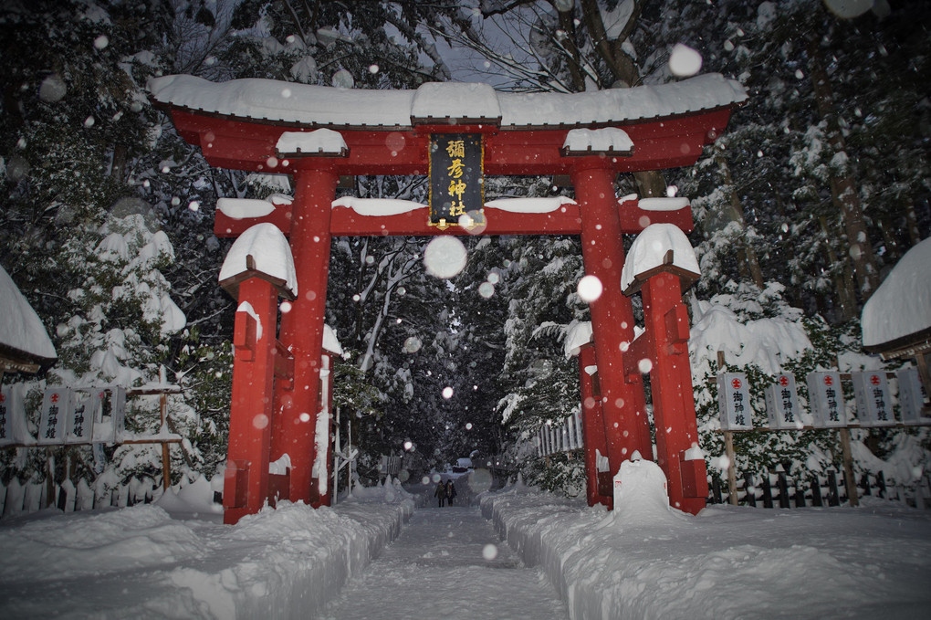 雪降る弥彦神社