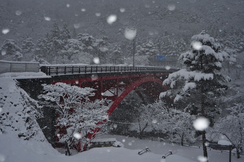 大雪の樽ヶ橋