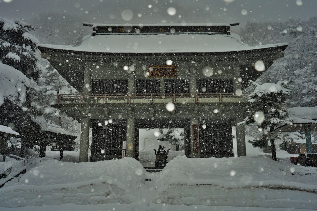 大雪の山門